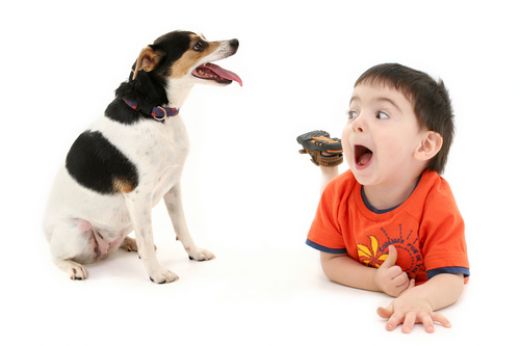 Маленькие детки и собаки идентичны в своем восприятии человеческих жестов