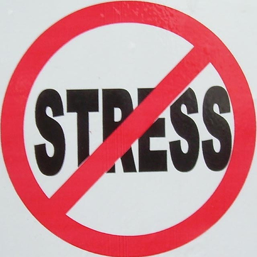 Обеспокоенность – прямой путь к стрессу